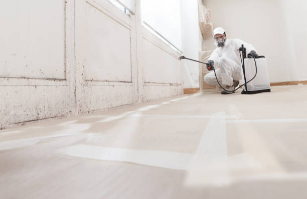 24/7 Emergency Mold Removal experts in Milton, WA